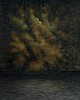 BE419 8x10 Polycanvas